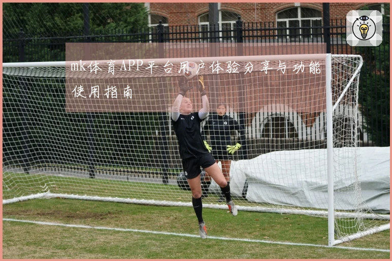 mk体育APP平台用户体验分享与功能使用指南