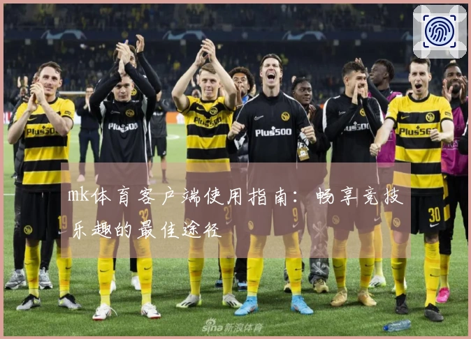 mk体育客户端使用指南：畅享竞技乐趣的最佳途径